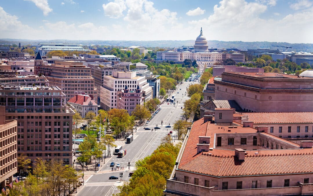 Forest Travel Reviews Washington D.C. For Your Next Family Vacation 2