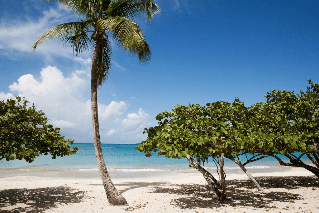 3 Top Destinations in the US Virgin Islands from Forest Travel (3)