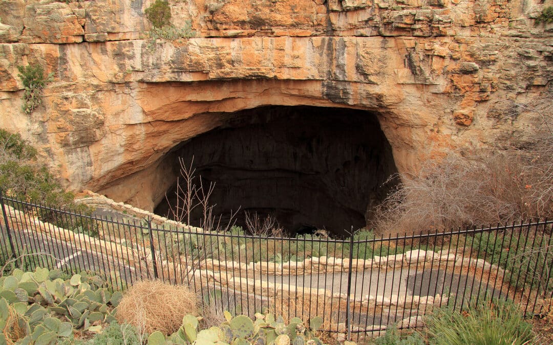 Exploring the Carlsbad Caverns with Forest Travel