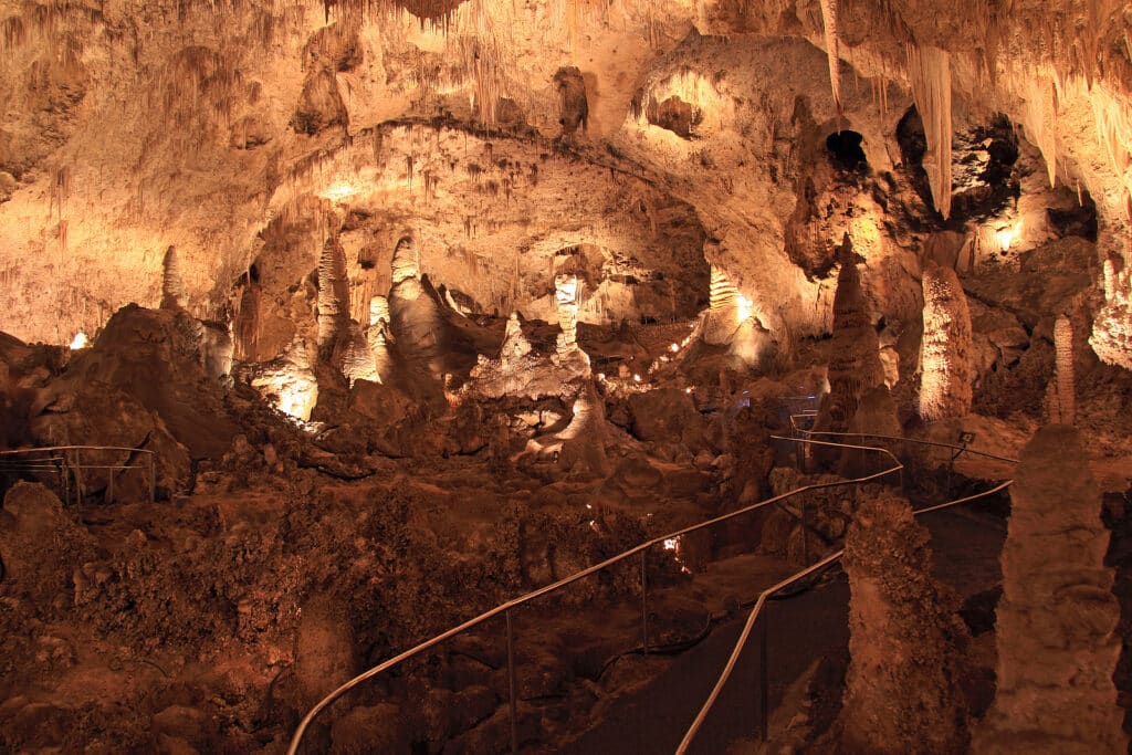 Exploring the Carlsbad Caverns with Forest Travel 2