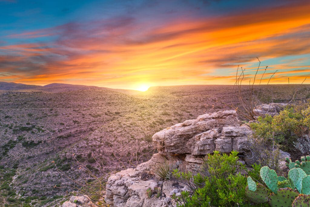 Exploring the Carlsbad Caverns with Forest Travel 3